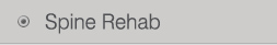 Spine Rehab - beFIT THERAPY